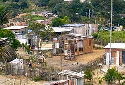 A small village in the rural zone of the State of Amazonas, Brazil where HBV and HDV infection are endemic 