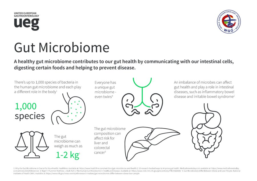 UEG Gut Microbiome Infographic